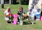 AA Duo Club Show 2012 - 2 x BEST OF BREED