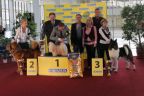 III.BOD National Dog Show Brno